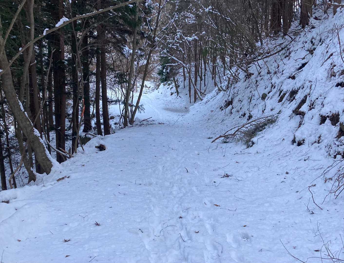 開始早々から雪道です😊❄️
何回も歩いてる道だし、午後の予定もないし、
明日も休みだし、最高😊
ゆっくり雪山楽しもう😊❄️⛰️