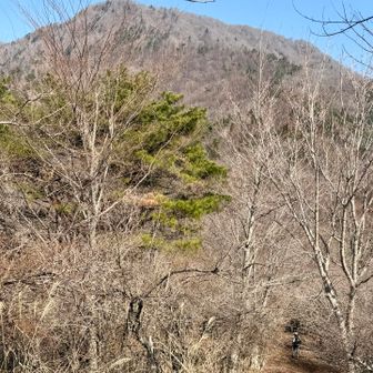 立ノ塚峠へ下る
目の前にそびえるのは子ノ神
