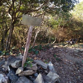 最近の山頂あるある、木々が伸びても伐採出来ずでベンチ前の眺望無し😣