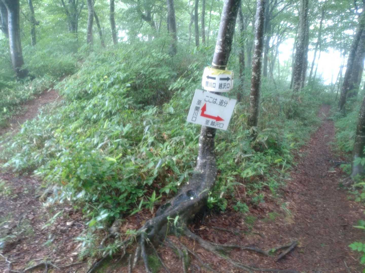 分岐点