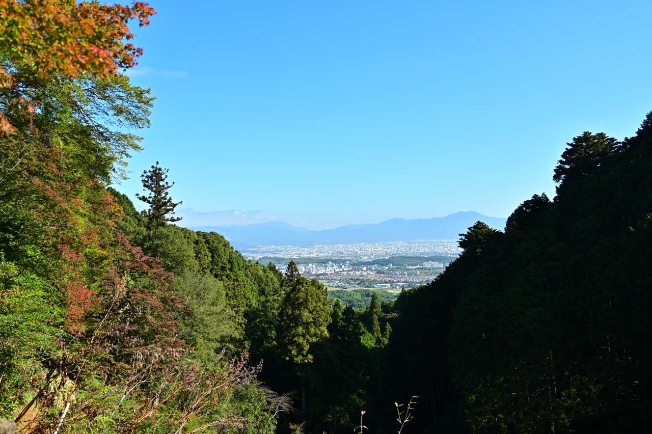 山に来た🙂⤴︎