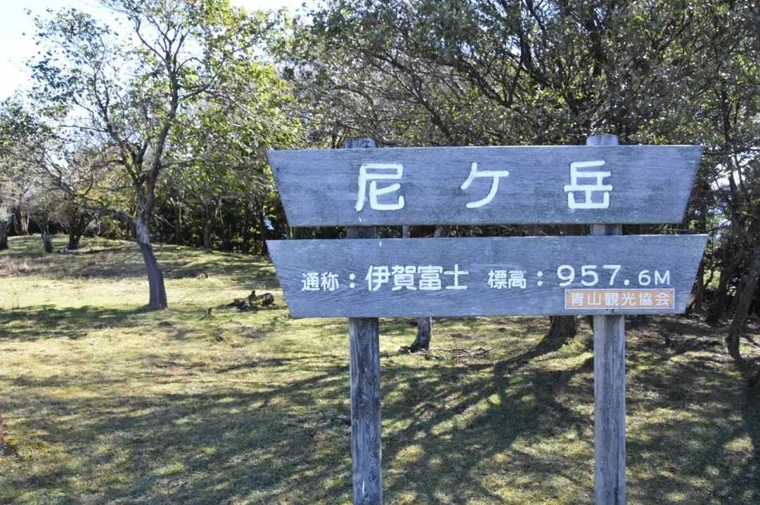 尼ヶ岳の写真