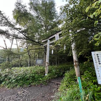登らせていただきます。