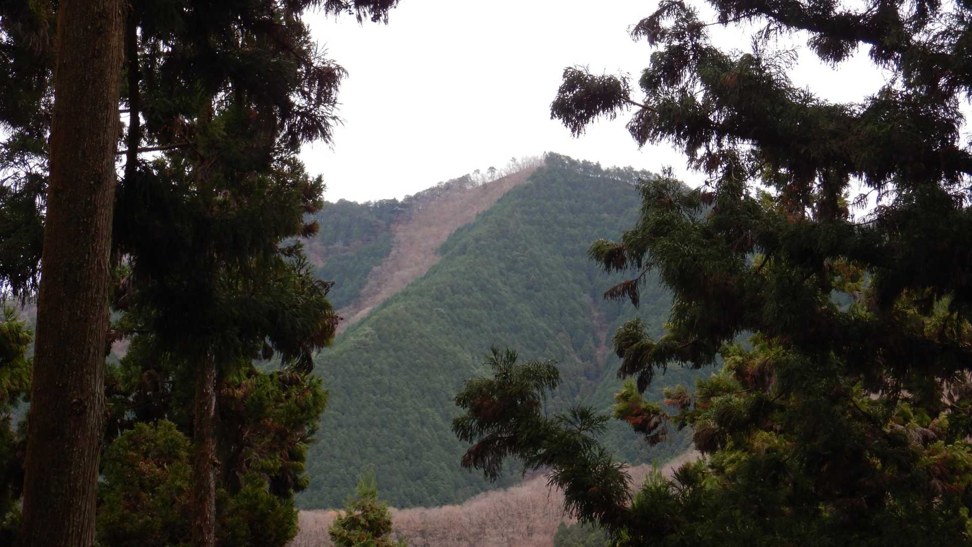 多分、今日のお目当ての不動岳⛰️