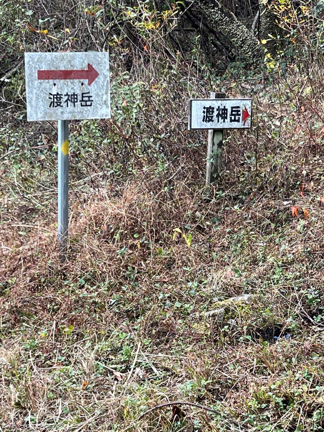 渡神岳 往復コースの写真
