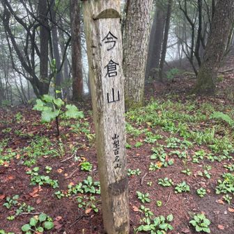 山梨百名山『今倉山』ピークゲットだぜ⛰️