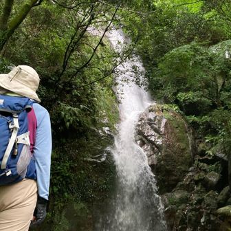 不動の滝
雨の後なので水量多く、迫力あり