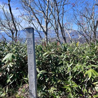 西岳山頂到着。2053m 信州百名山98座目。ここでおにぎり頬張る。