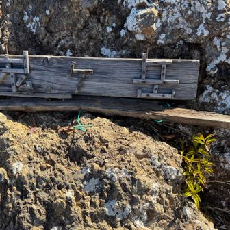 鬼ケ岳山頂も日差しが暑く長居無用