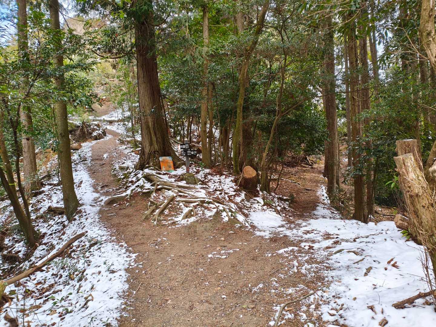 左に行きます。以前、右側に行って藤尾神社に降りて、困りました⁉️😂