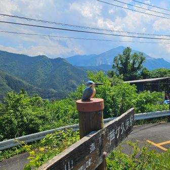 武甲山と🐦