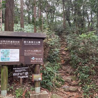 登山口です。駐車場からすぐ。