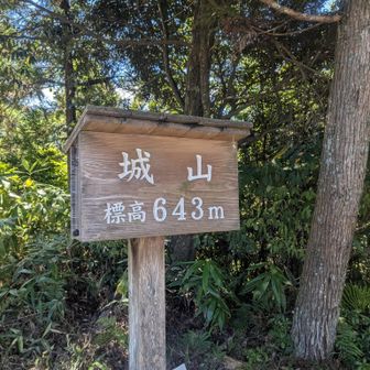 頂上
久しぶりです
これで8名山制覇