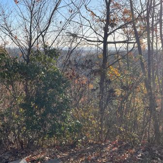 東屋から
ここは日当たりが良くていいですね