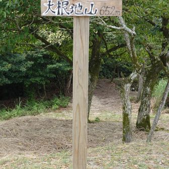 ここで九州自然歩道エスケープ
直進して大根地山を縦走