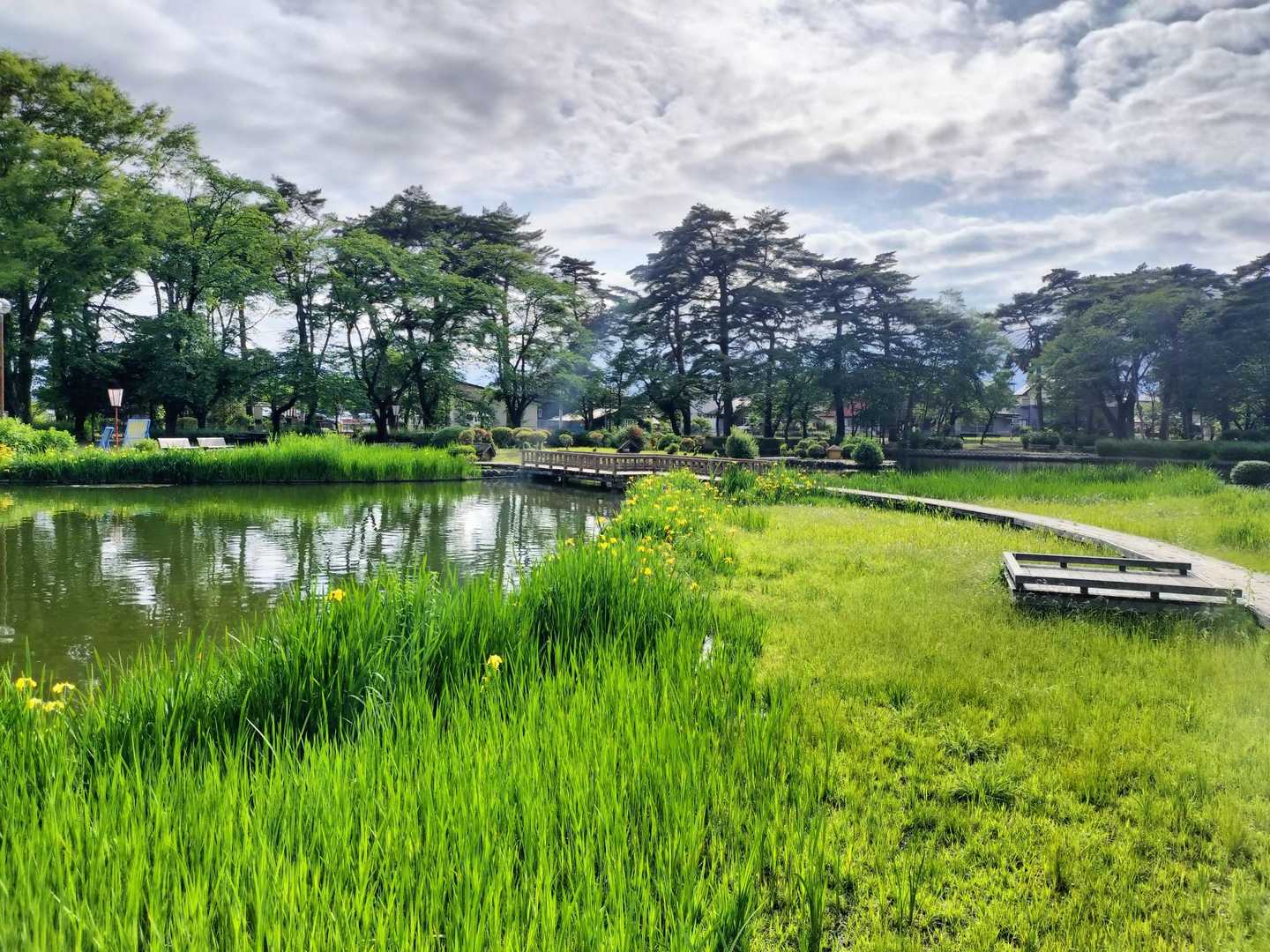 池を横断する木道。