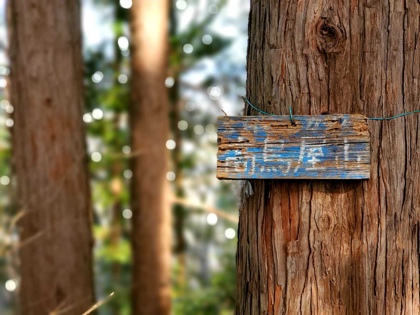 高鳥屋山