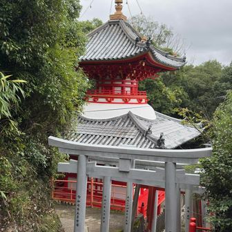 戻ってきました