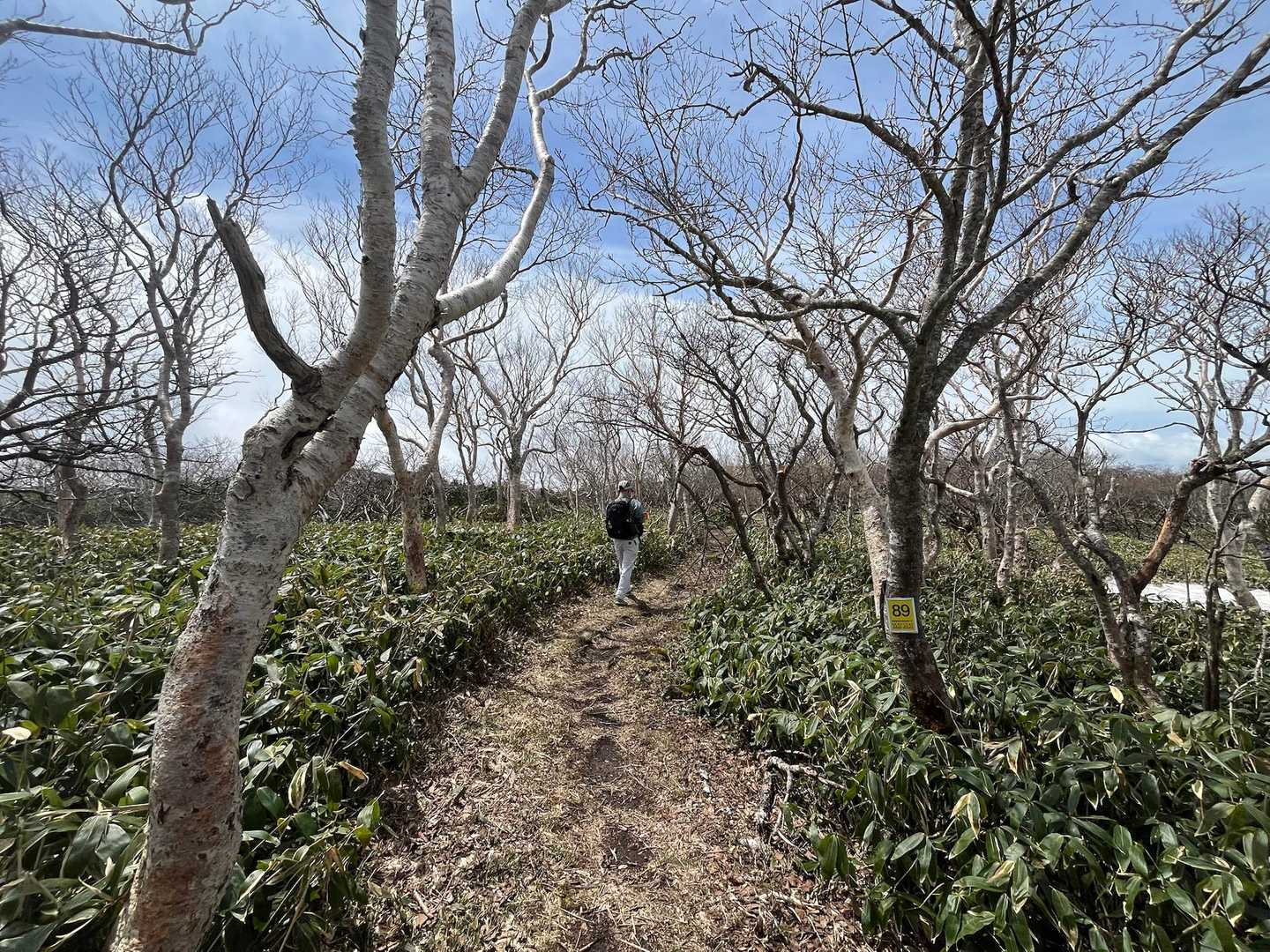 白笹山-南月山-日の出平-日の出平登山口 周回コースの写真