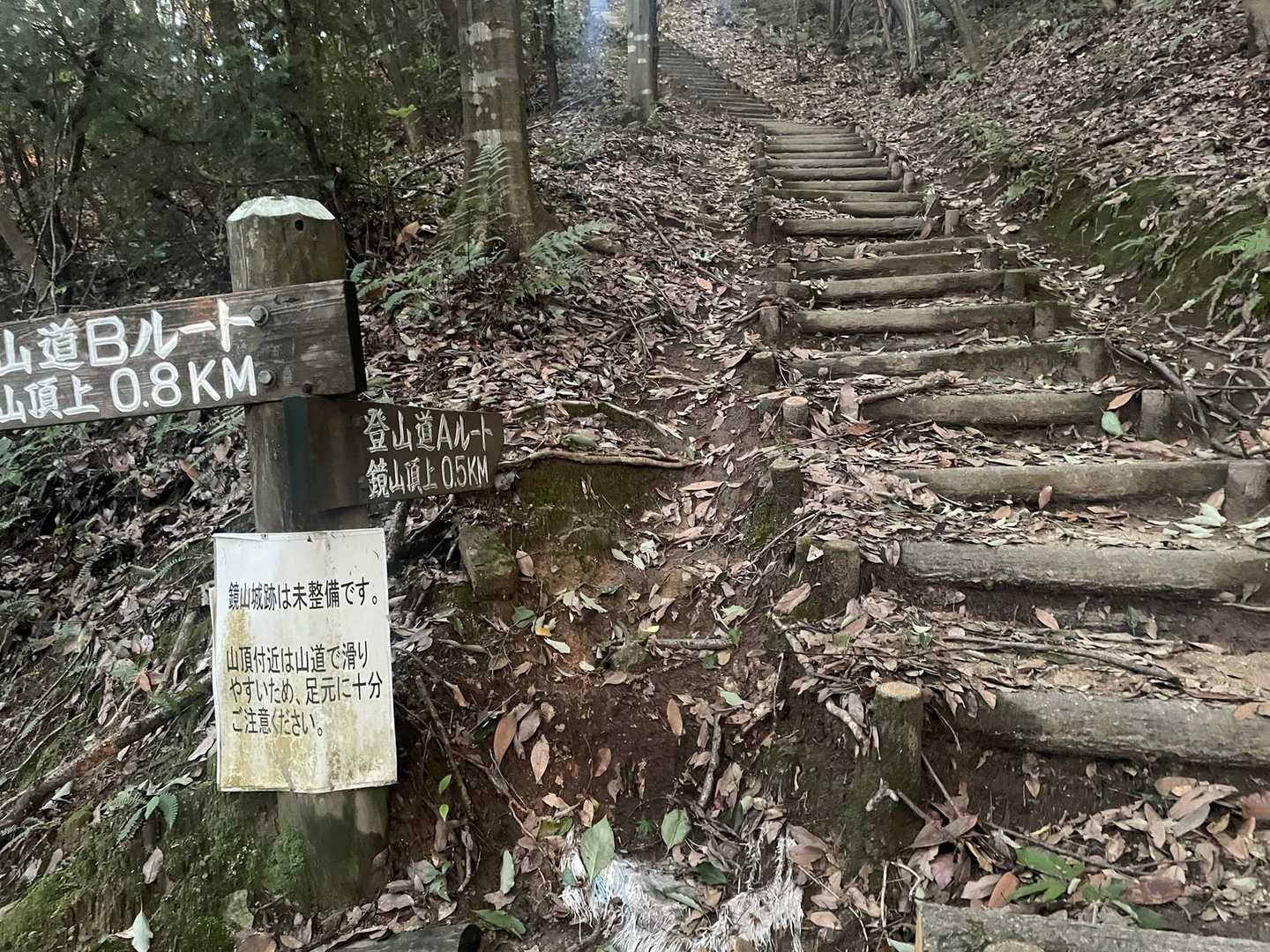 鏡山 往復コースの写真
