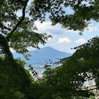 荒穂神社から宝満山眺める