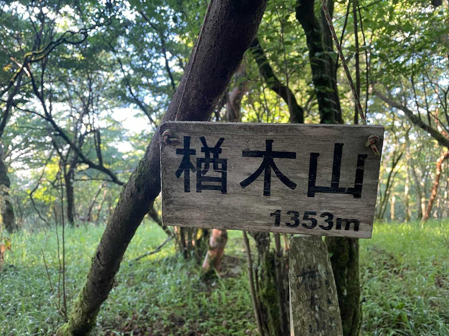 楢木山到着なんだけど、何日か前に歩かれ
この辺りで黄色い「アミガサタケ」を
見つけた🔍と知ったので探しながら
進んでいました👀