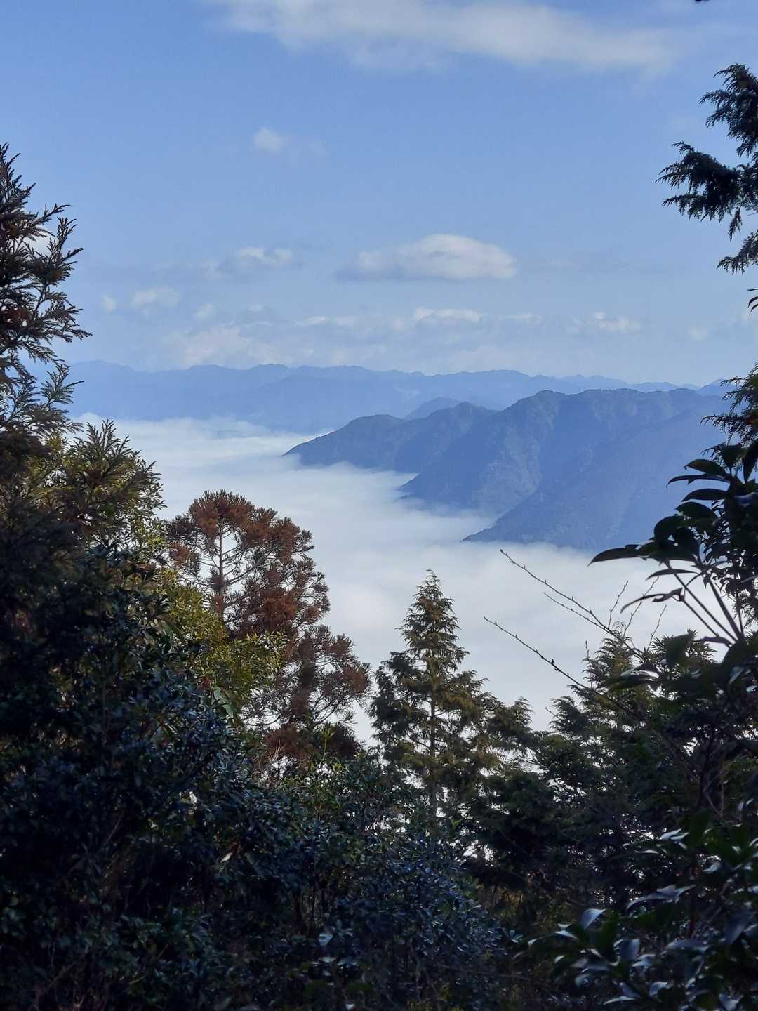 雲海素敵です❤️
一角１５度だけの景色