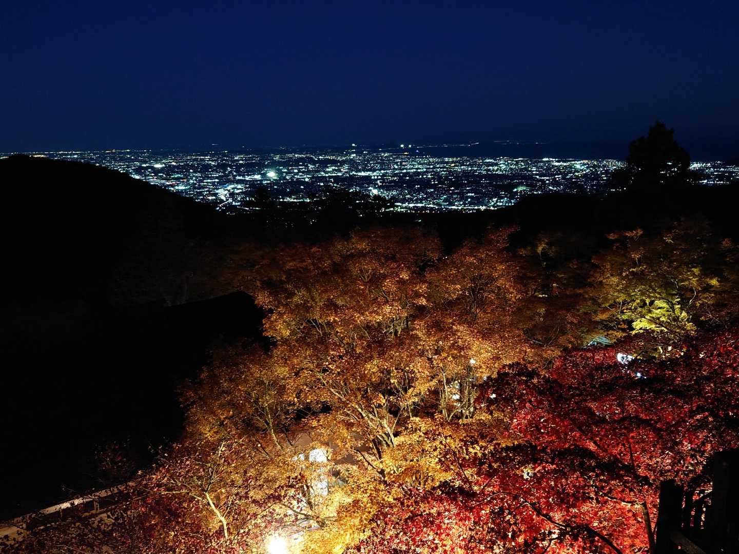ヤビツ峠-大山-阿夫利神社駅 縦走コースの写真