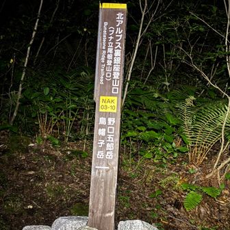 いよいよ日本三大急登&北アルプス三大急登のブナ立尾根
これで三大急登制覇しましたー😁