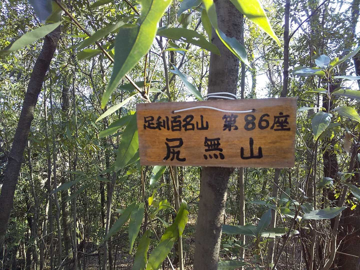 ５分もたたずに到着でした😆🎵🎵「尻無山」も足利百名山
