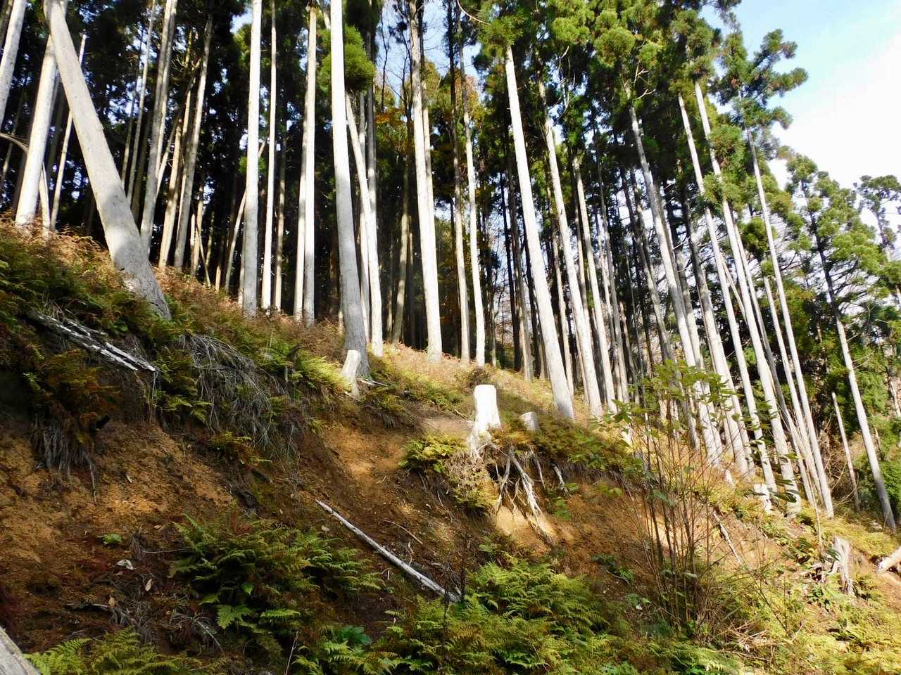ここの斜面から登ります🏃‍♂️💦