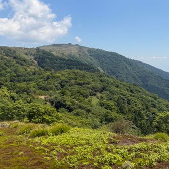 蓬莱山が見えてます⛰️
