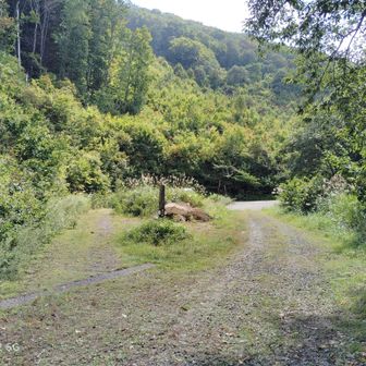 右奥から登ってきて、手前に折り返して、左手から更に登る