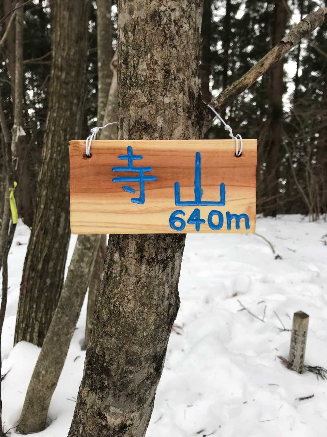到着　新しい山名札裏に「ひの字」
ひでジイさんの物と推察
有難い合掌拝