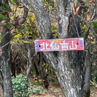 北仙香山⛰️