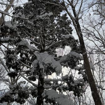 ありがとう磐溪山⛰️
三人で楽しいハイクとなりました😁✨