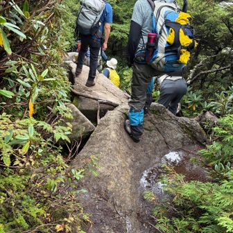 東篭ノ登山へ向けて同じ道を戻ります。