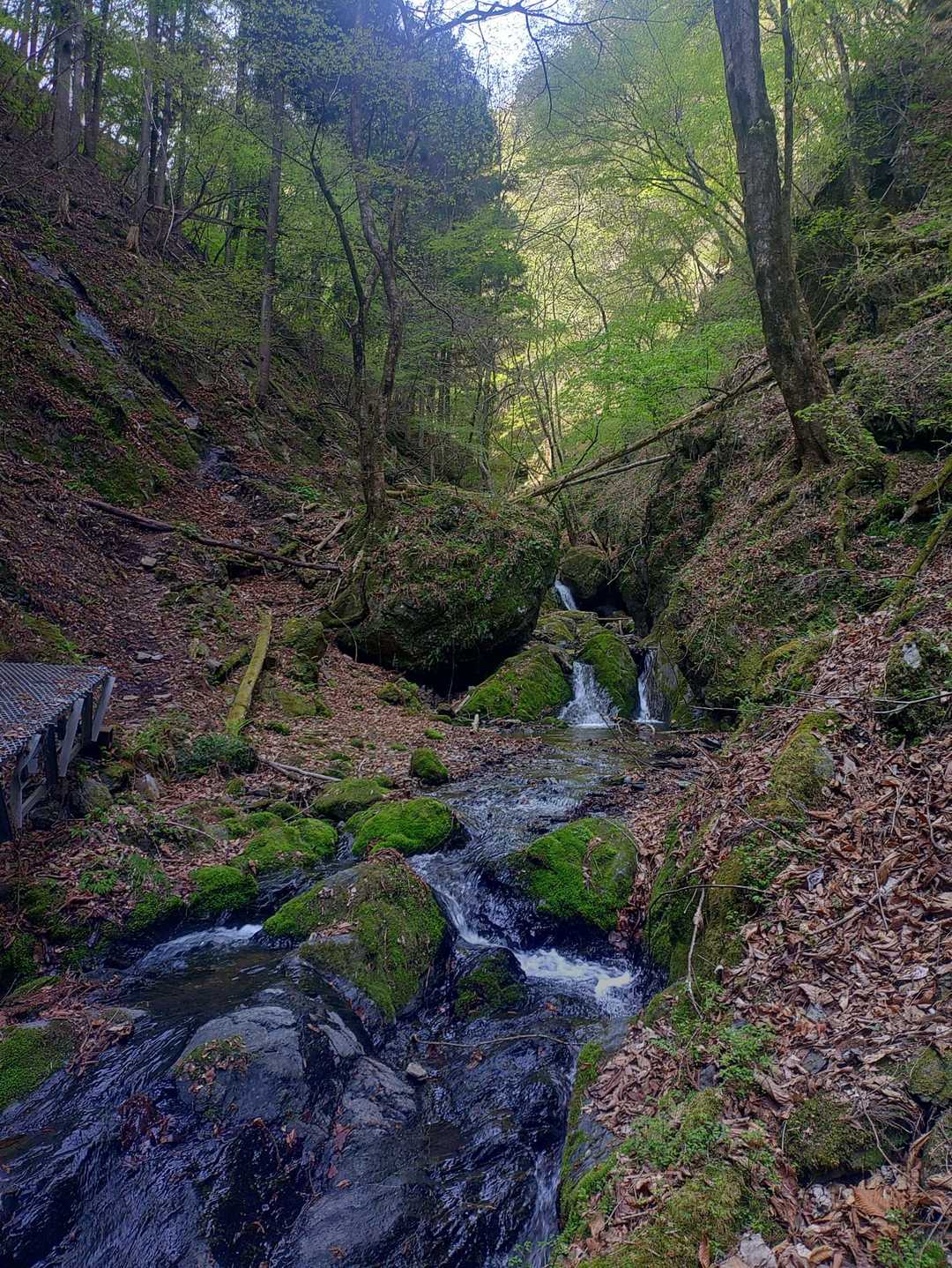 沢のある山行は大好物です
この雰囲気がたまらない
