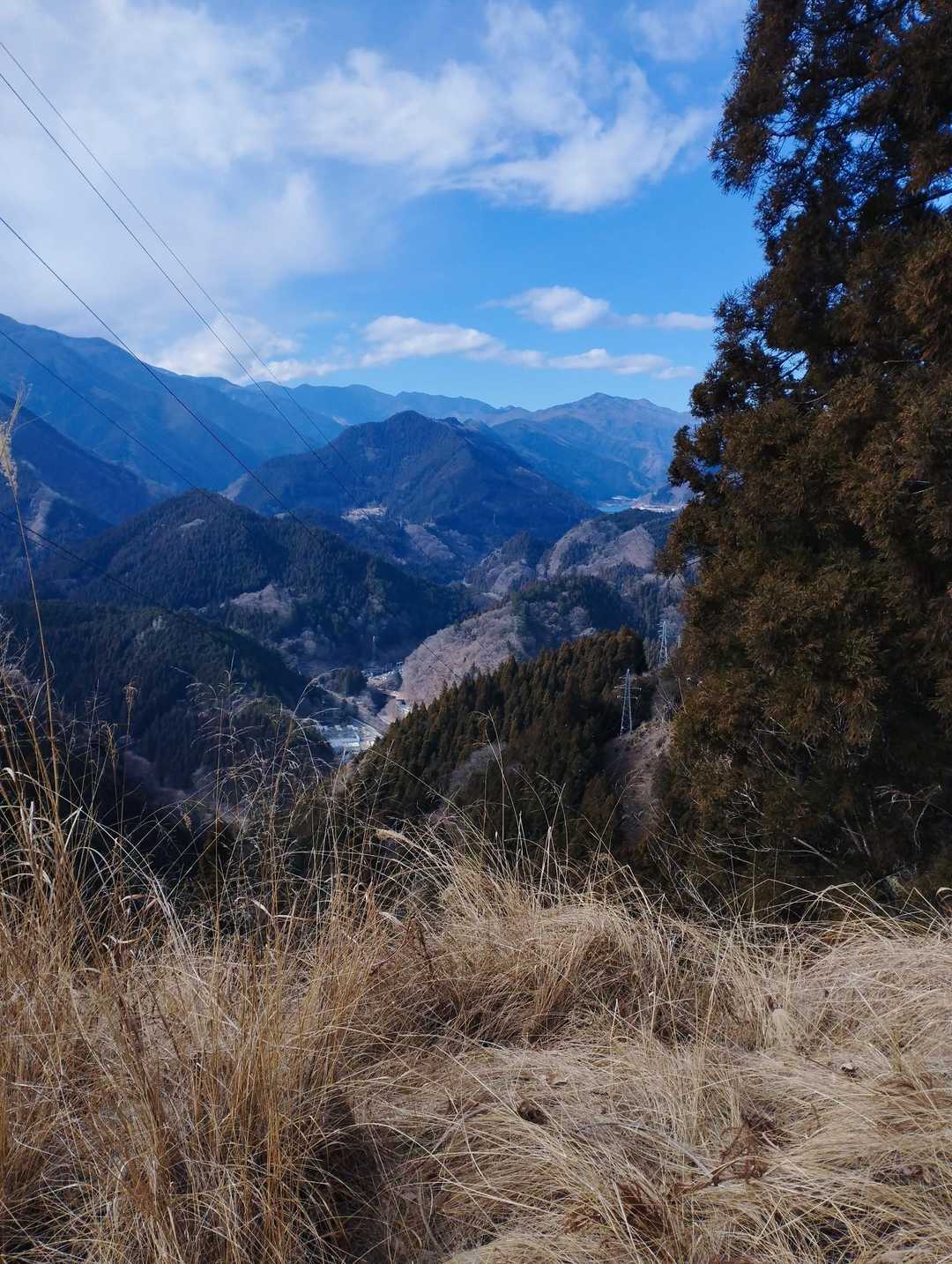 やっと景色見えた