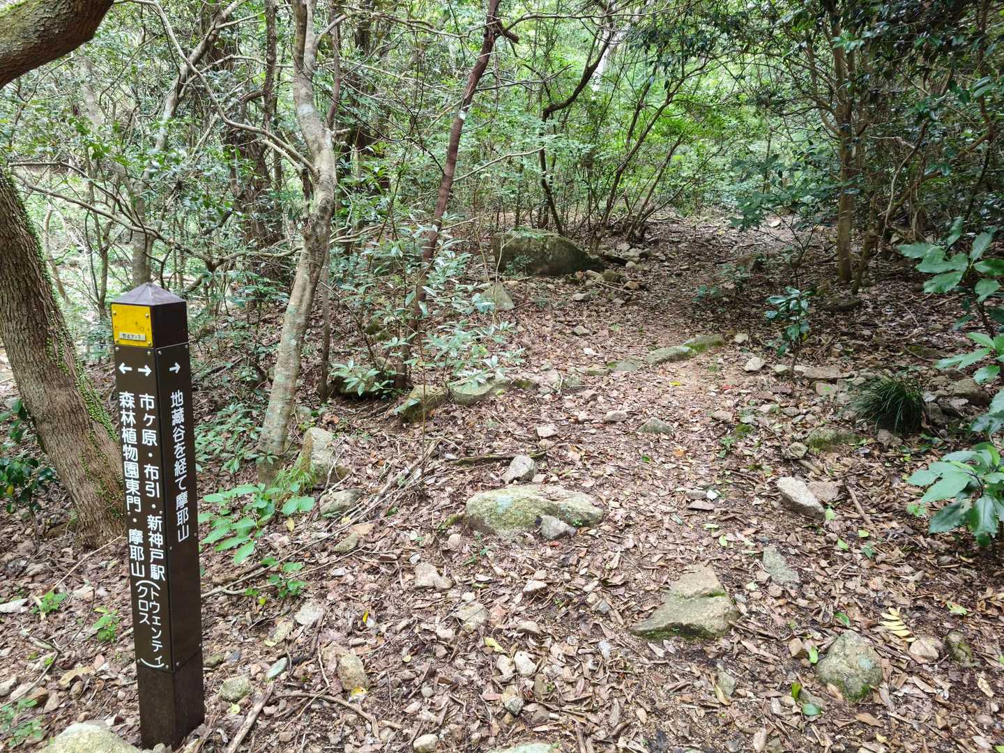 地蔵谷へ
※トゥエンティクロスの一発目の渡渉の手前の分岐