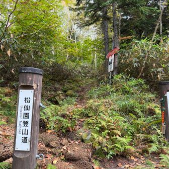 ブラシで靴を擦ってから入園です