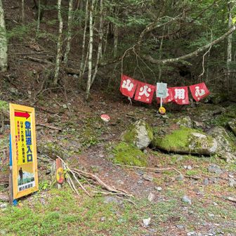 ここから登り始め