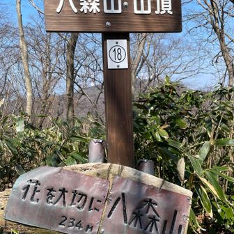 頂上到着「花を大切に」