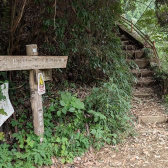 駐車場からの登山口は土砂崩れで歩けない箇所があるらしく、数分歩いたところの登山口から開始。