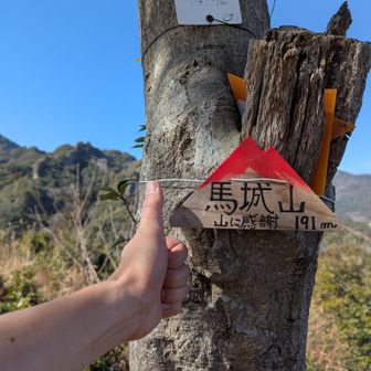 干支登山のノルマクリア。来年は…どうすんの。…あ、ほんとだ城の字違う！