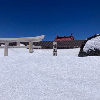 何とか神社です。例年だったら鳥居が見えないくらいの雪なんだろうな。