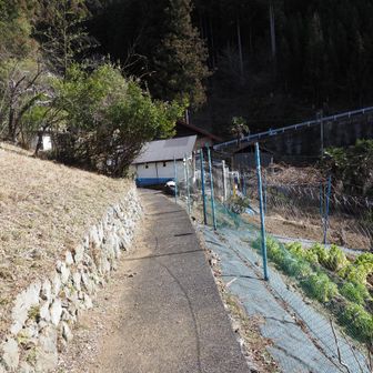 民家近くの登山口探しで迷う。
この道は間違い。