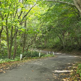あとは駐車場までほぼアスファルトです。上りのアスファルトなら全然大丈夫。