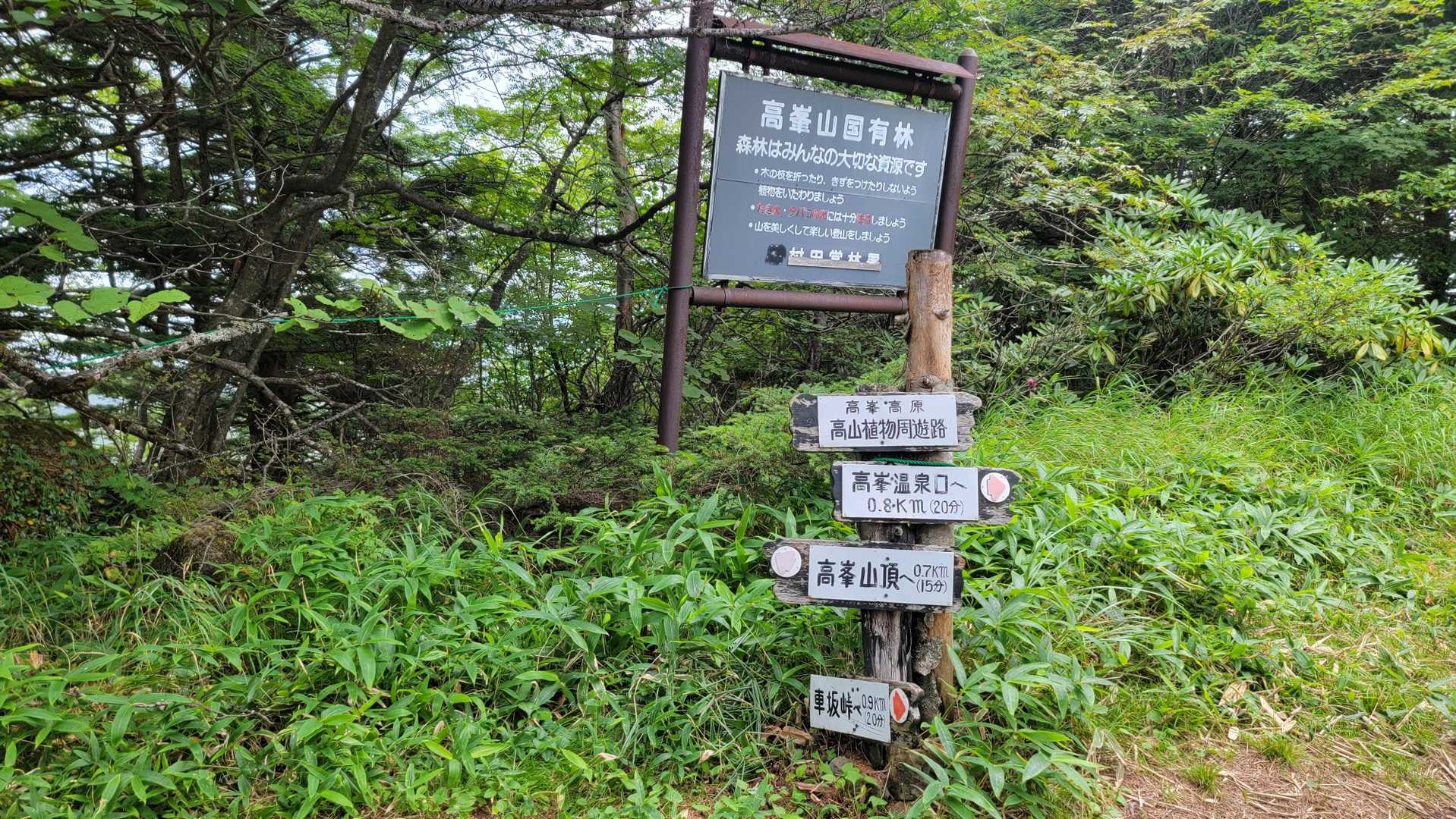 高峰温泉口に行きます