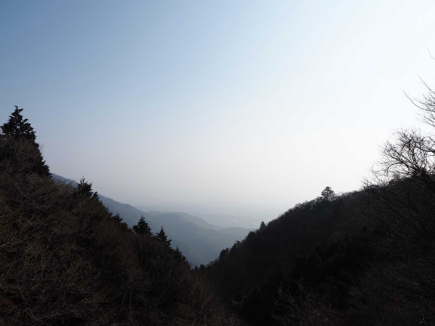 春って感じ